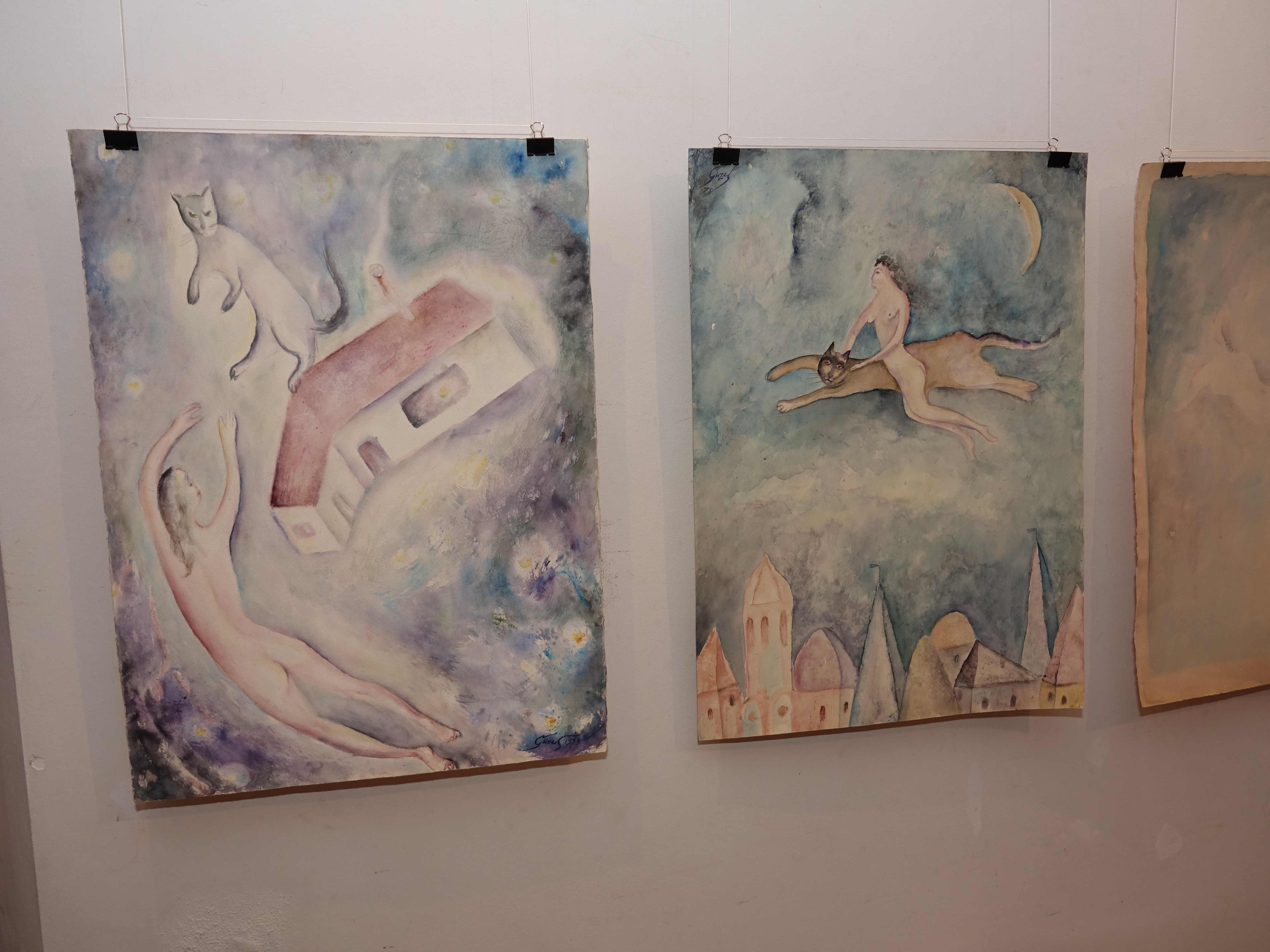 Выставка картин татарской художницы в Бельгии